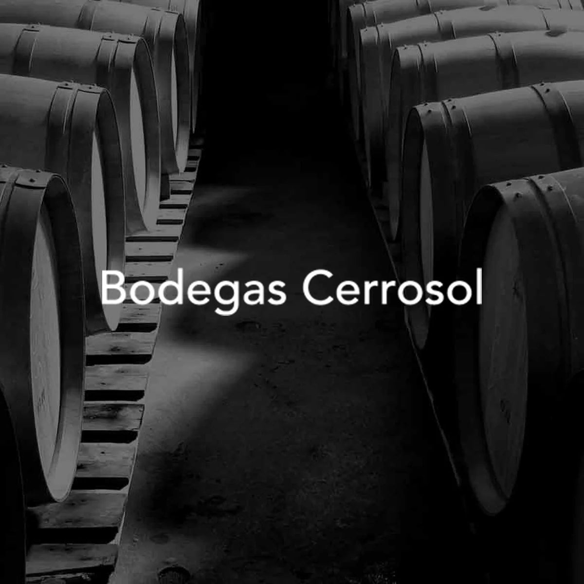 Bodega Cerrosol wijnhuis