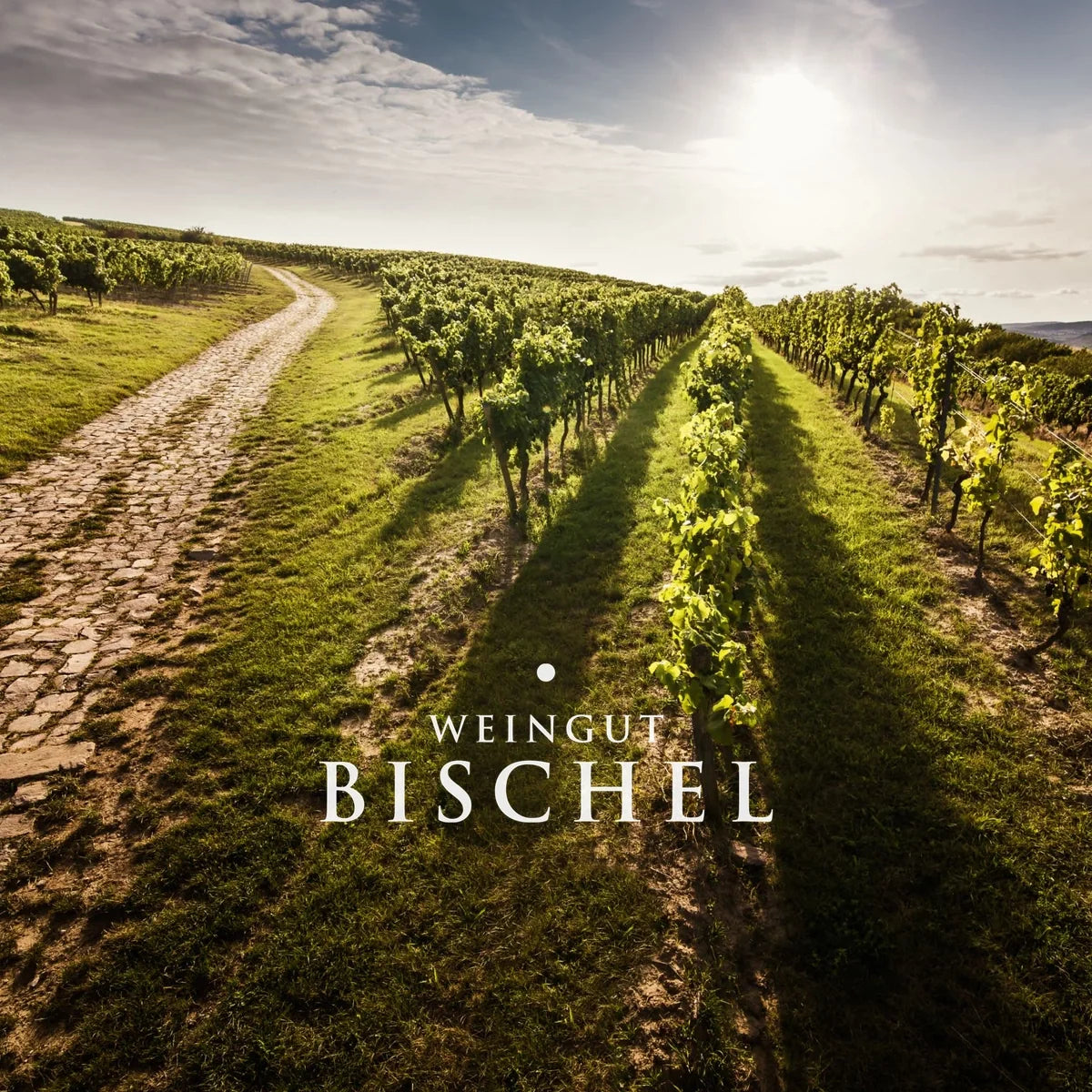 Bischel — sfeerfoto met origineel logo