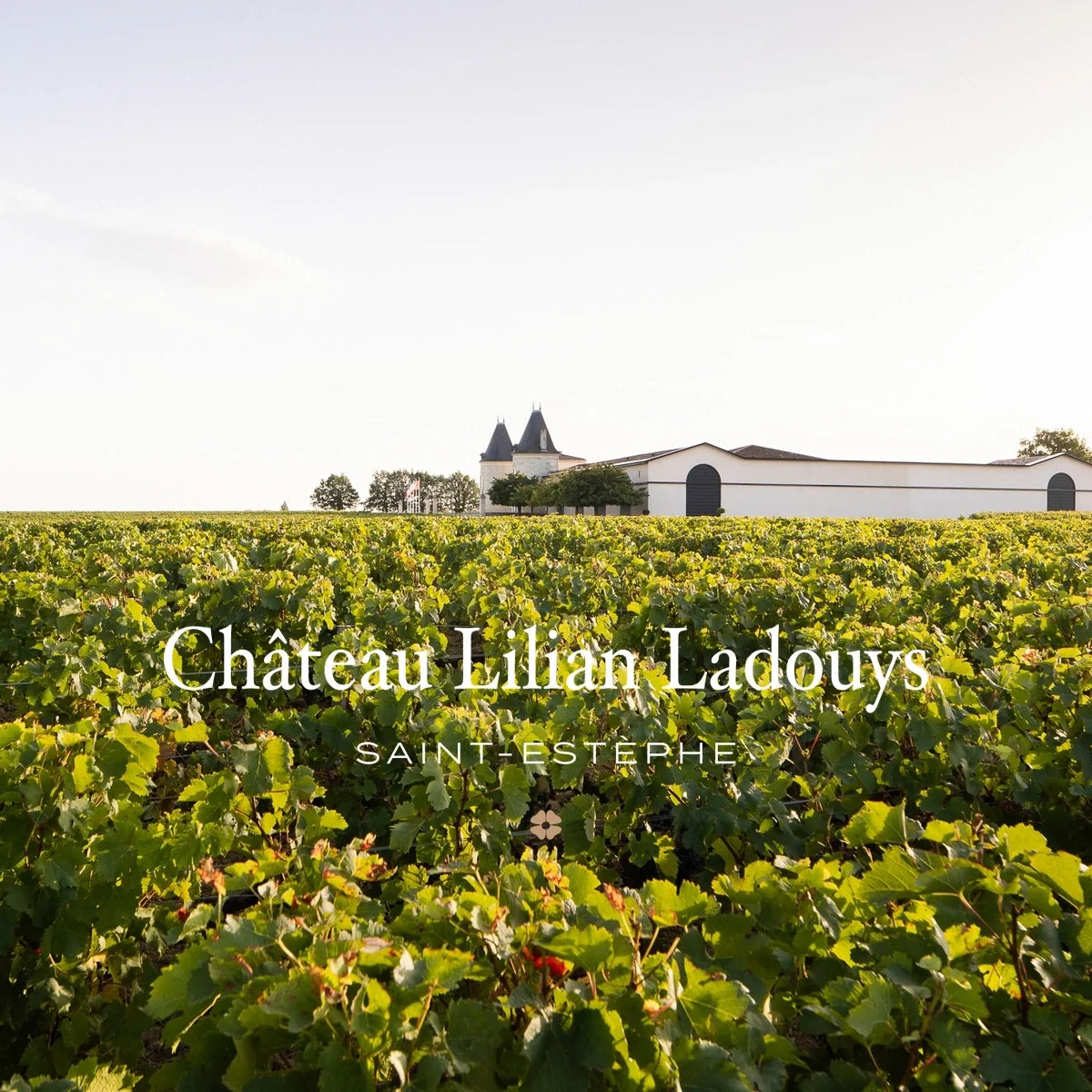 Château Lilian Ladouys, sfeerfoto met wijnhuislogo