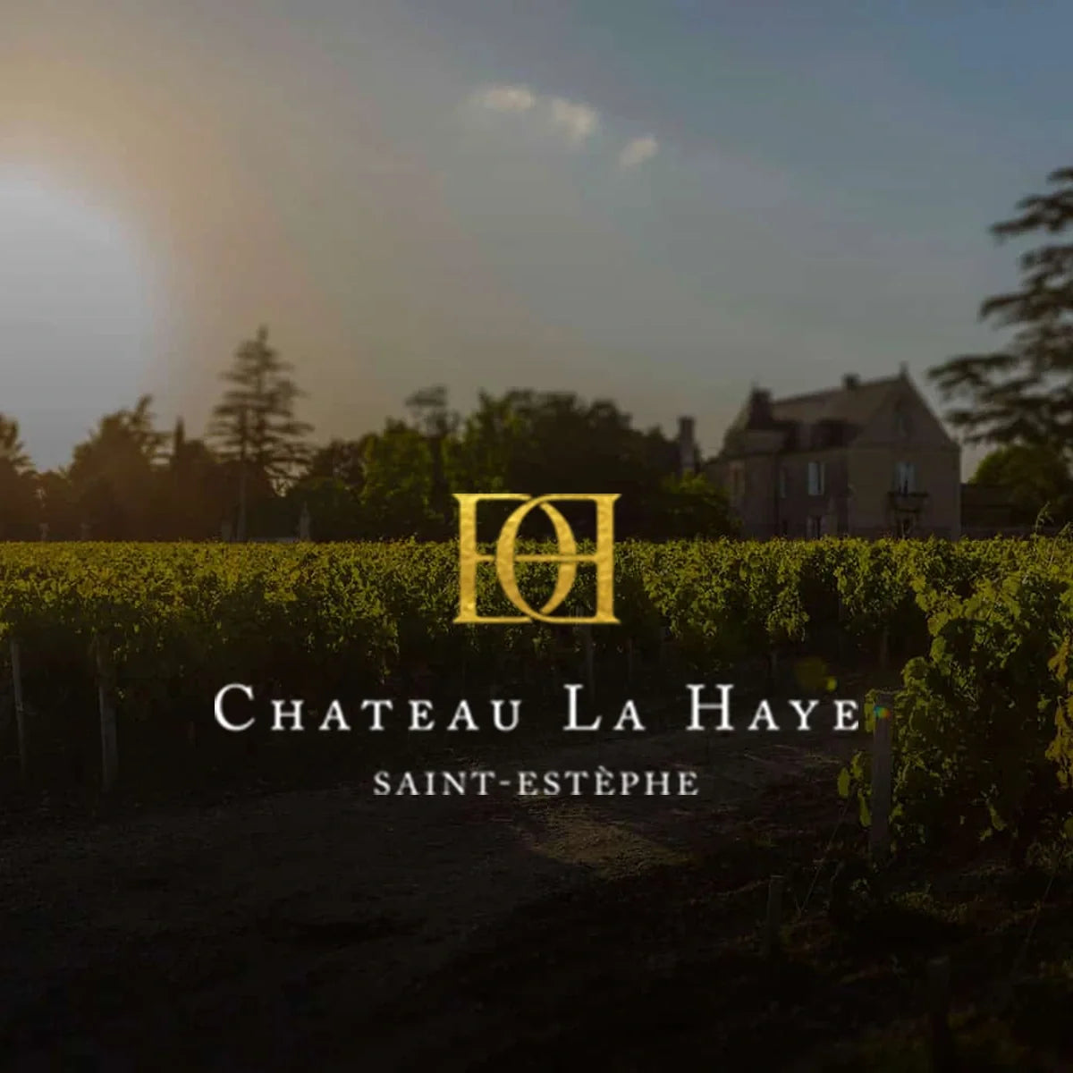 Château La Haye, sfeerfoto met wijnhuislogo