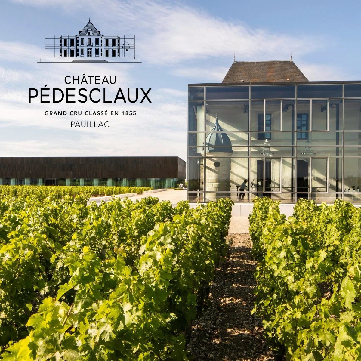 Château Pedesclaux, sfeerfoto met wijnhuislogo