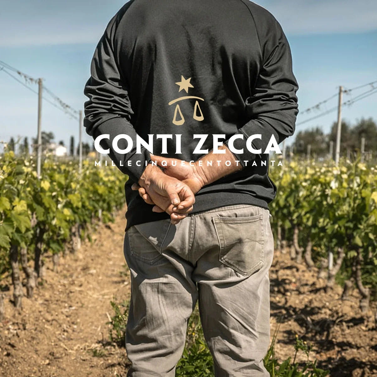 Conti Zecca, sfeerfoto met wijnhuislogo
