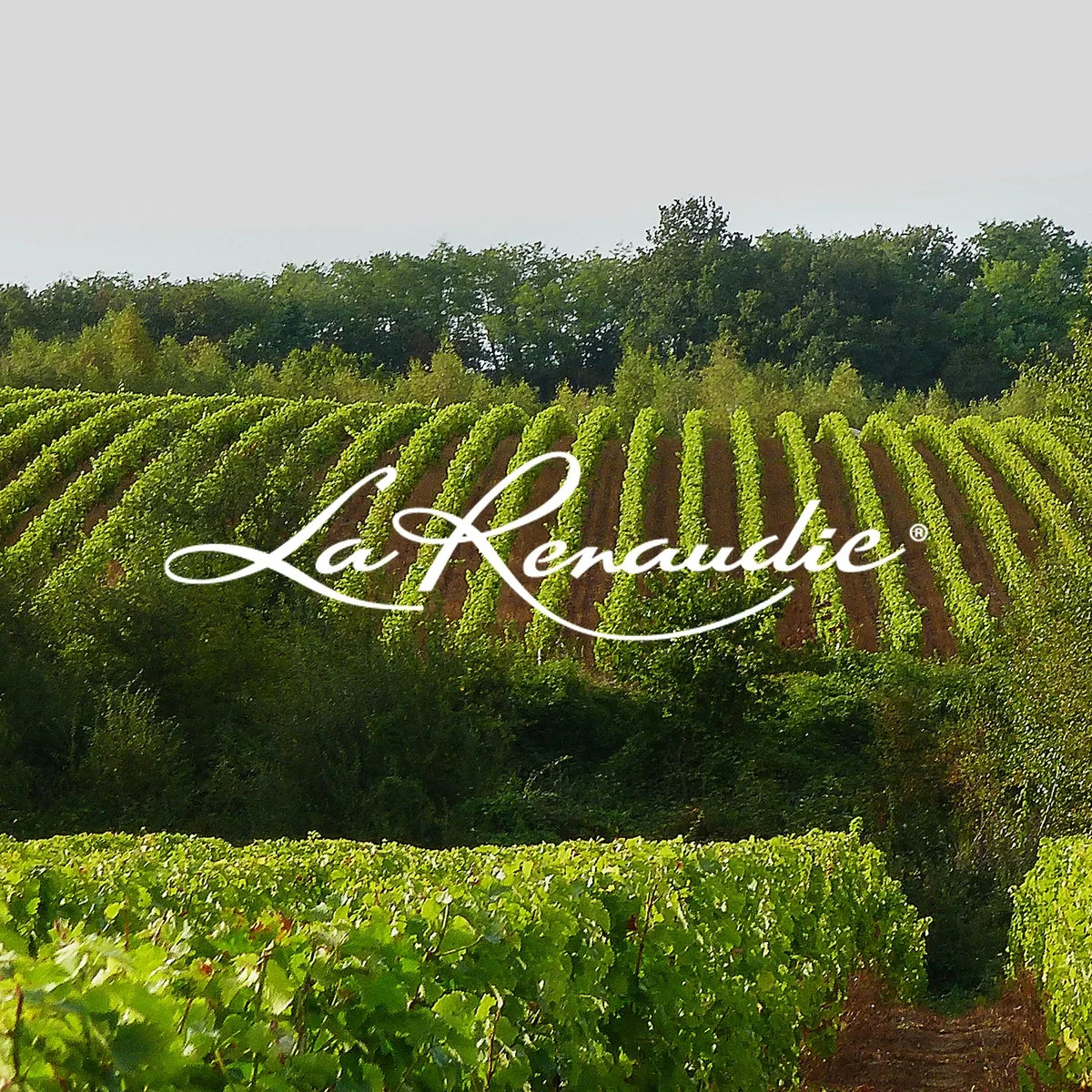 Domaine De La Renaudie met origineel wijnhuislogo