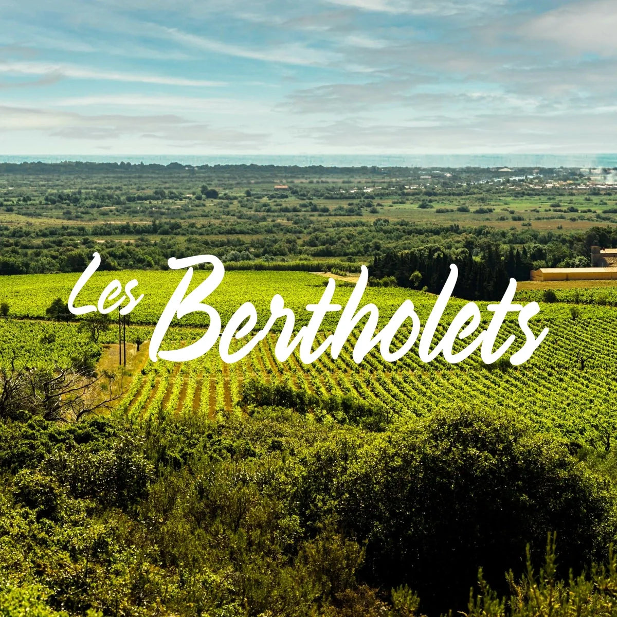 Les Bertholets – wijnhuis en origineel logo
