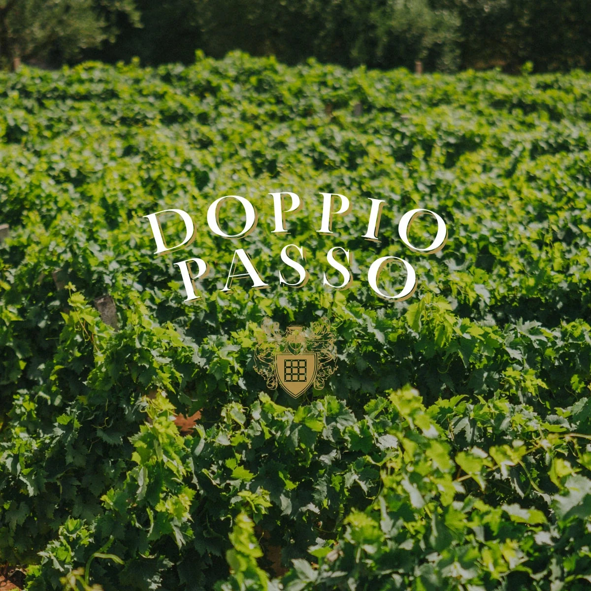 Doppio Passo – wijnhuis en origineel logo