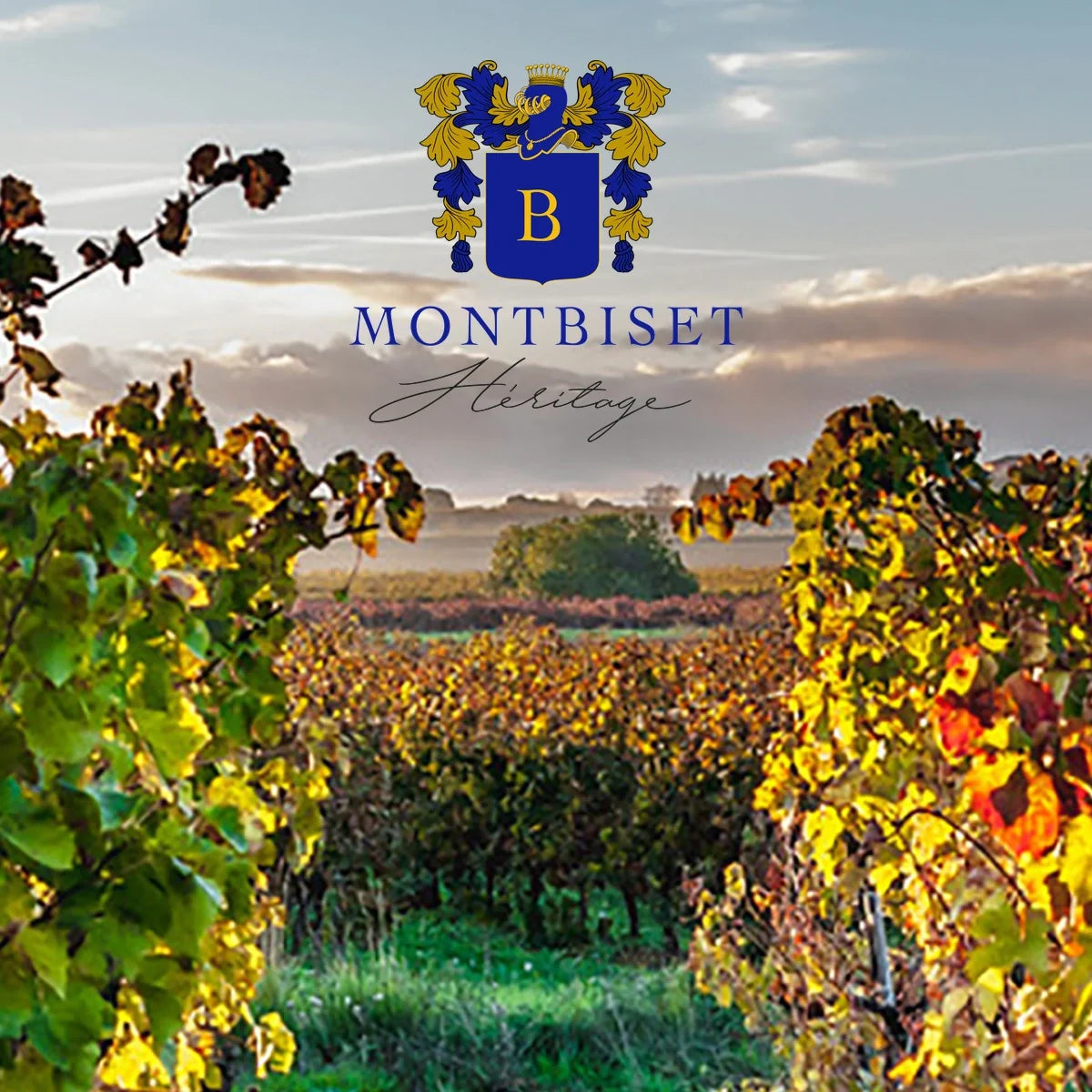 Montbiset – wijnhuis en origineel logo