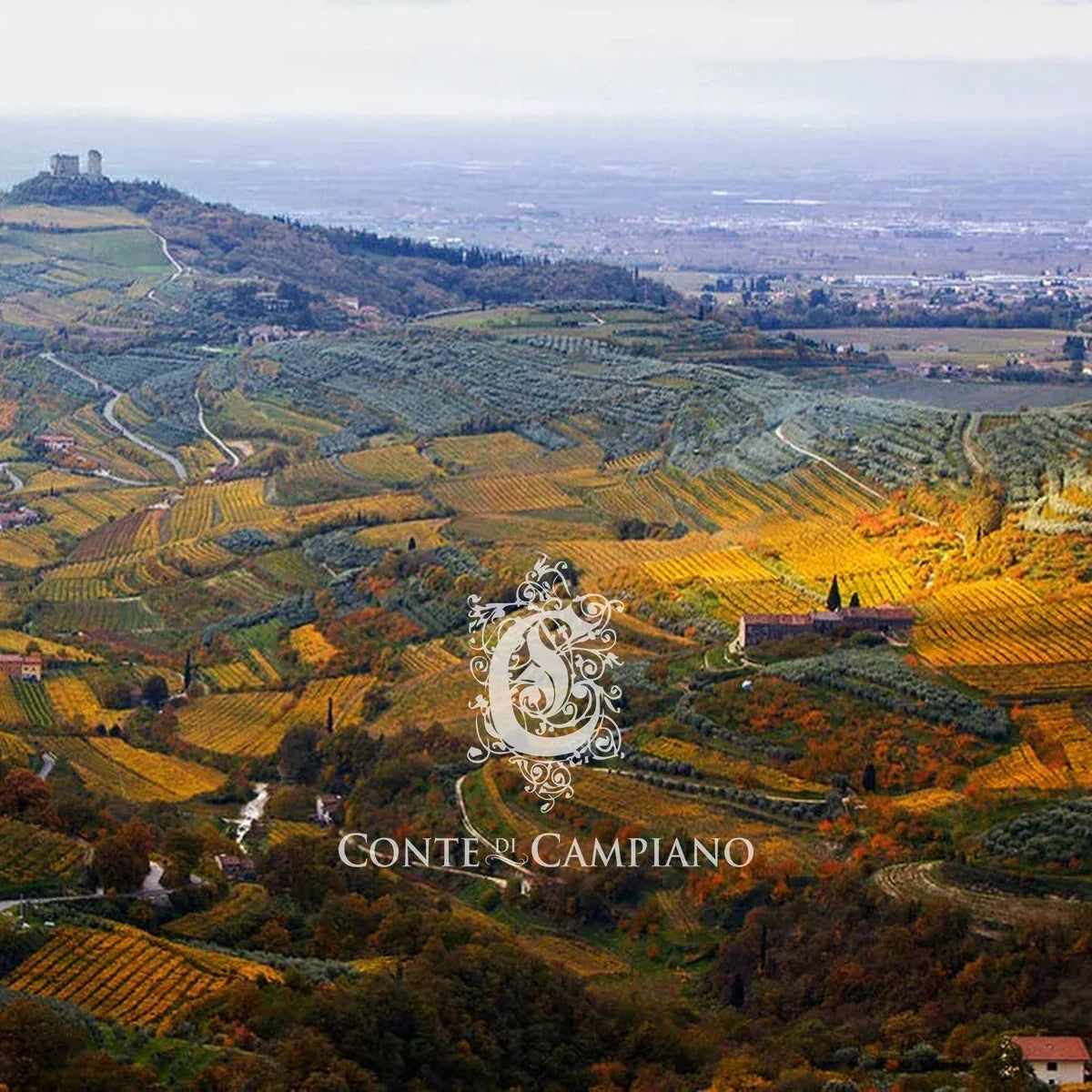 Conte di Campiano – landschap met origineel logo