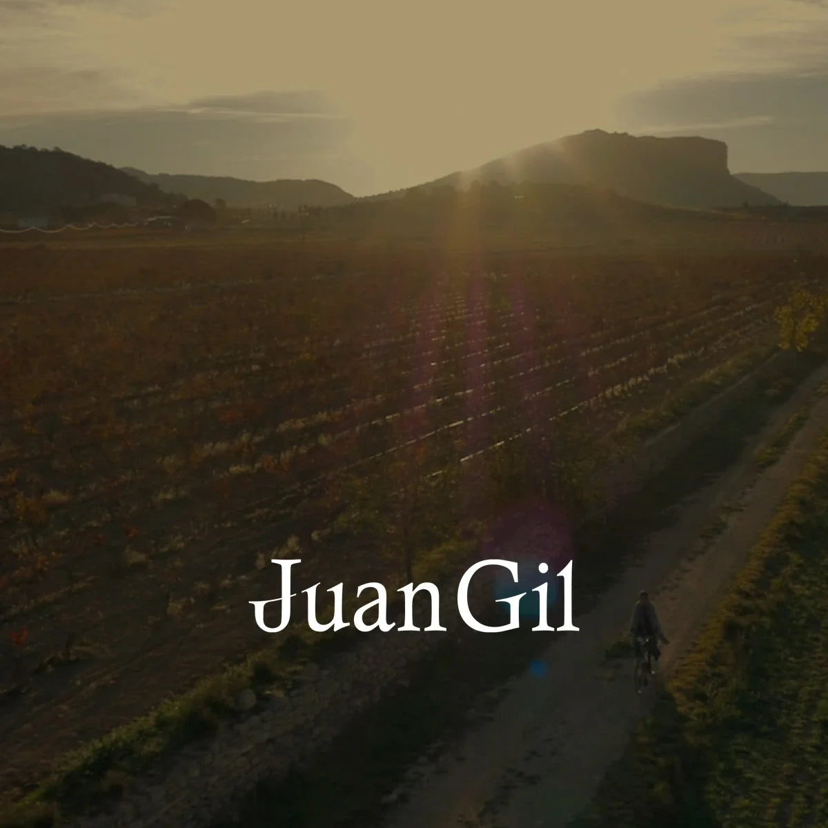 Juan Gil – wijngaard met origineel logo