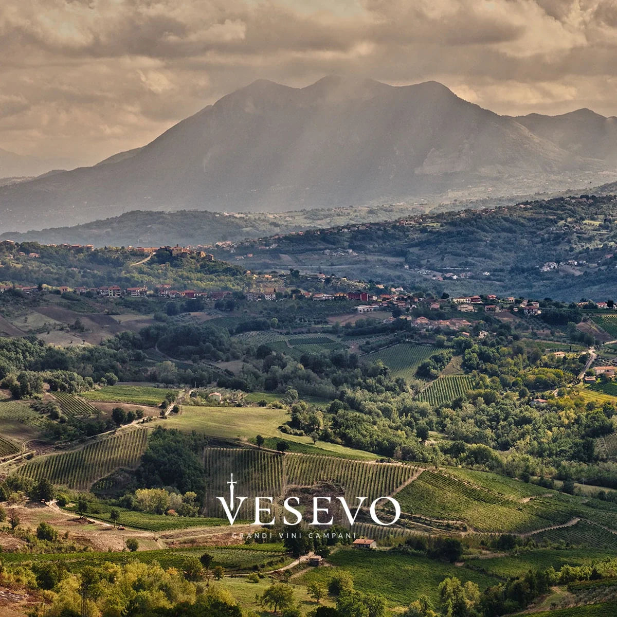 Vesevo sfeerfoto met logo