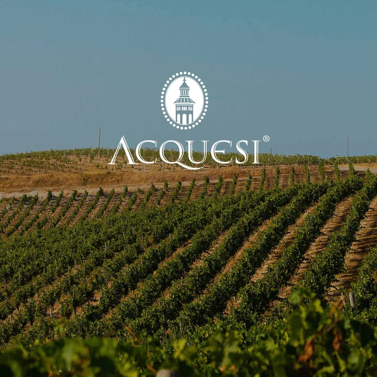 Acquesi logo boven wijngaarden in Monferrato