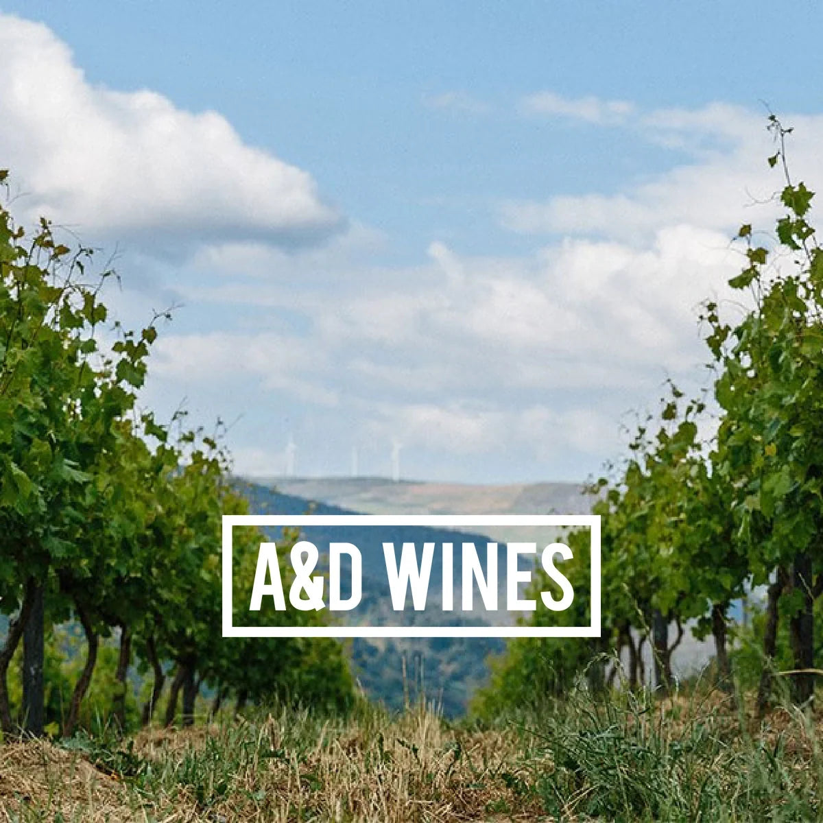 A&D Wines logo bij de wijngaarden van Quinta de Santa Teresa
