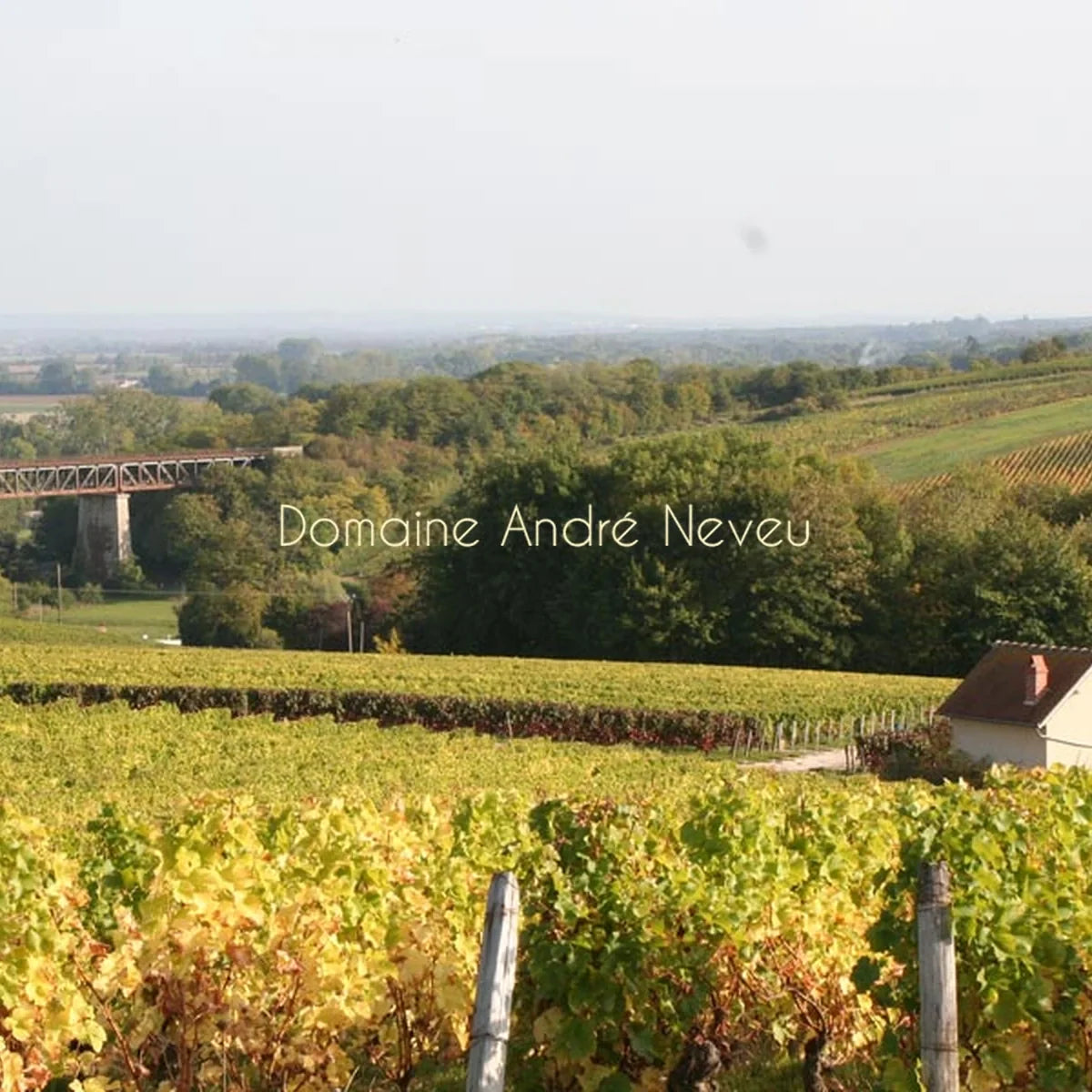 Andre Neveu