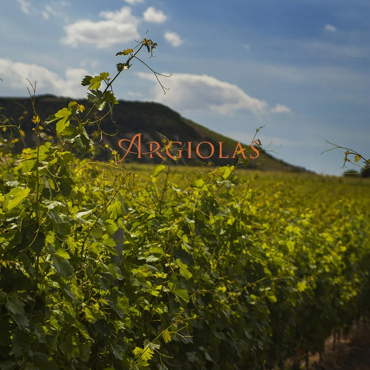 Argiolas met officieel logo