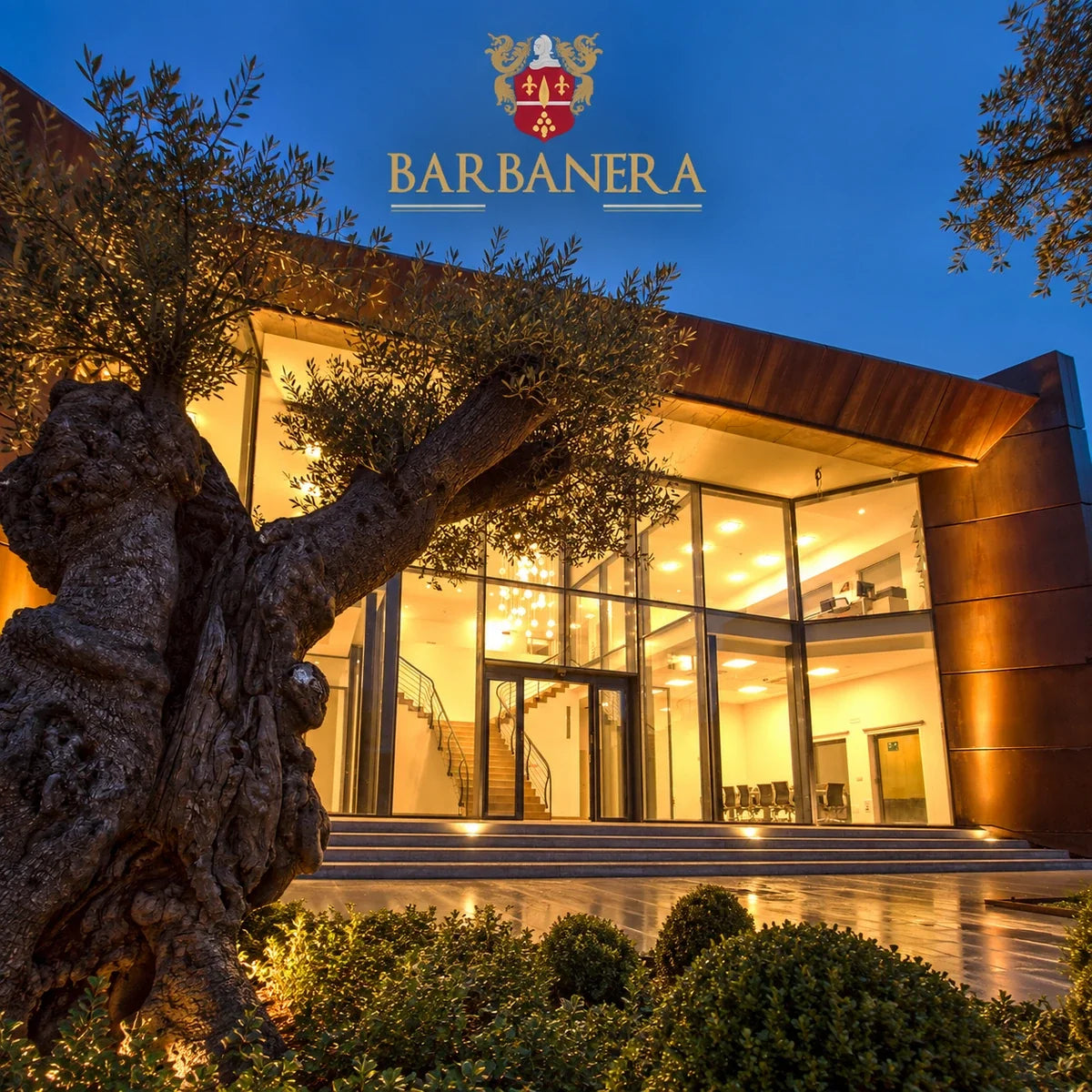 Barbanera wijnhuis en logo