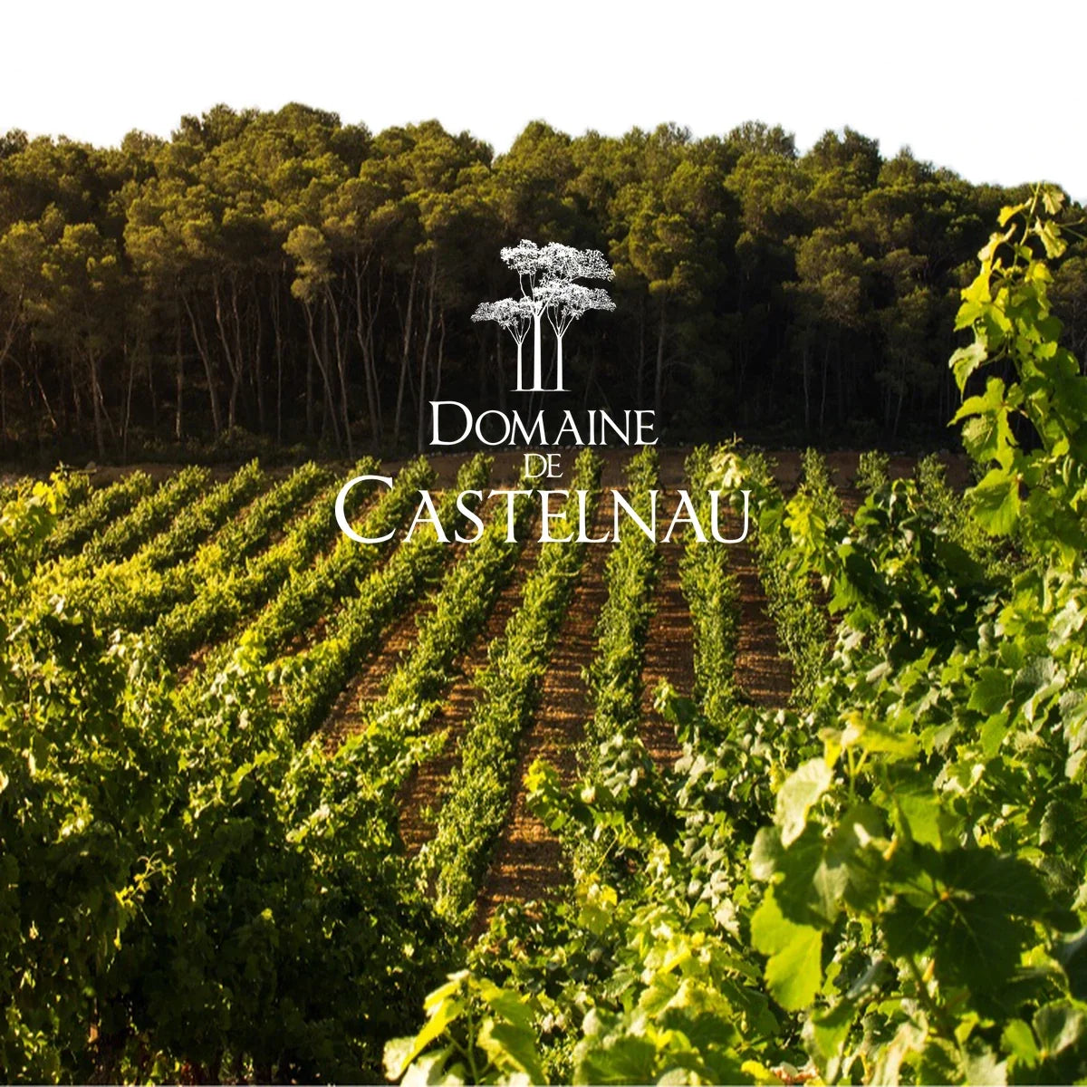 Domaine de Castelnau — wijnhuis met logo