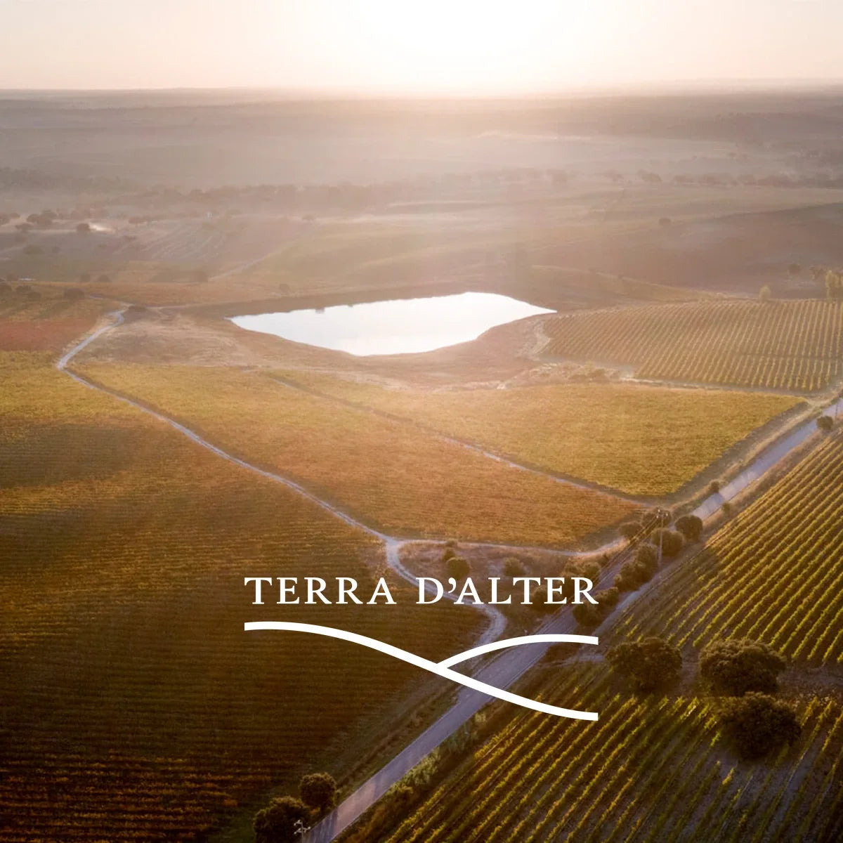 Terra d'Alter — wijnhuis met logo
