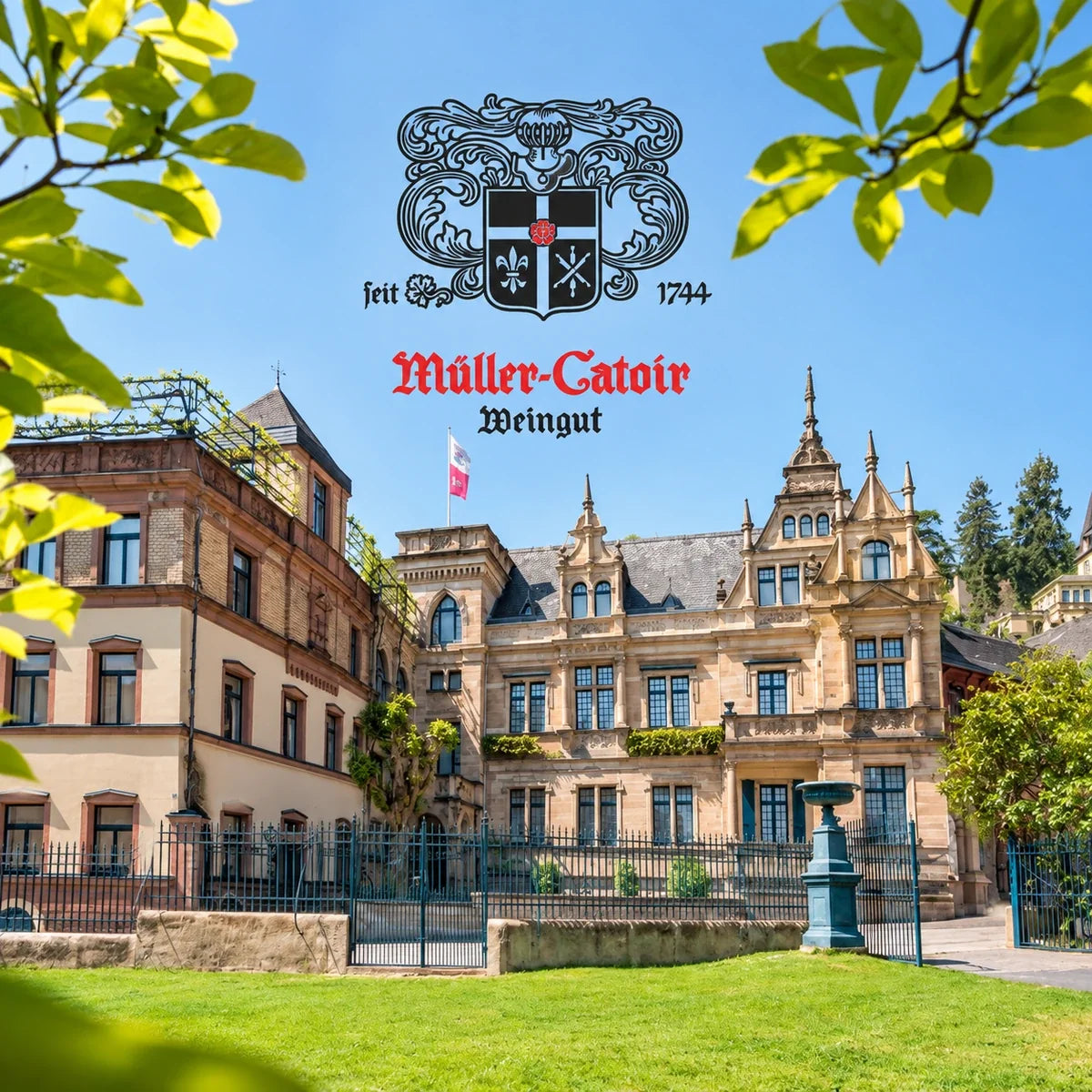Muller Catoir wijnhuis en logo