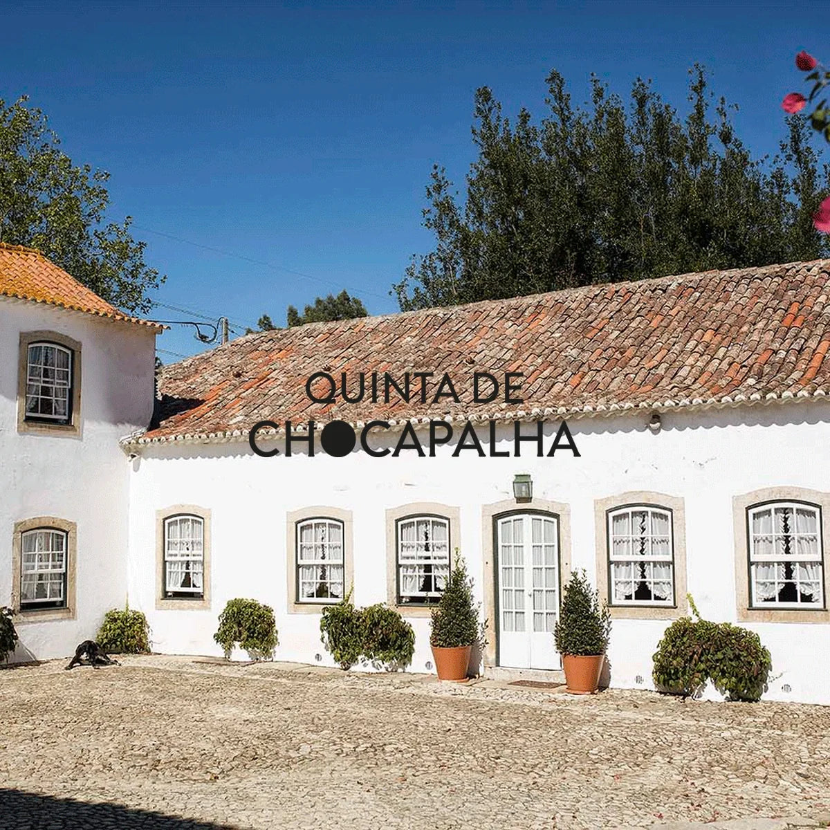 Quinta de Chocapalha | Perfecte Wijn