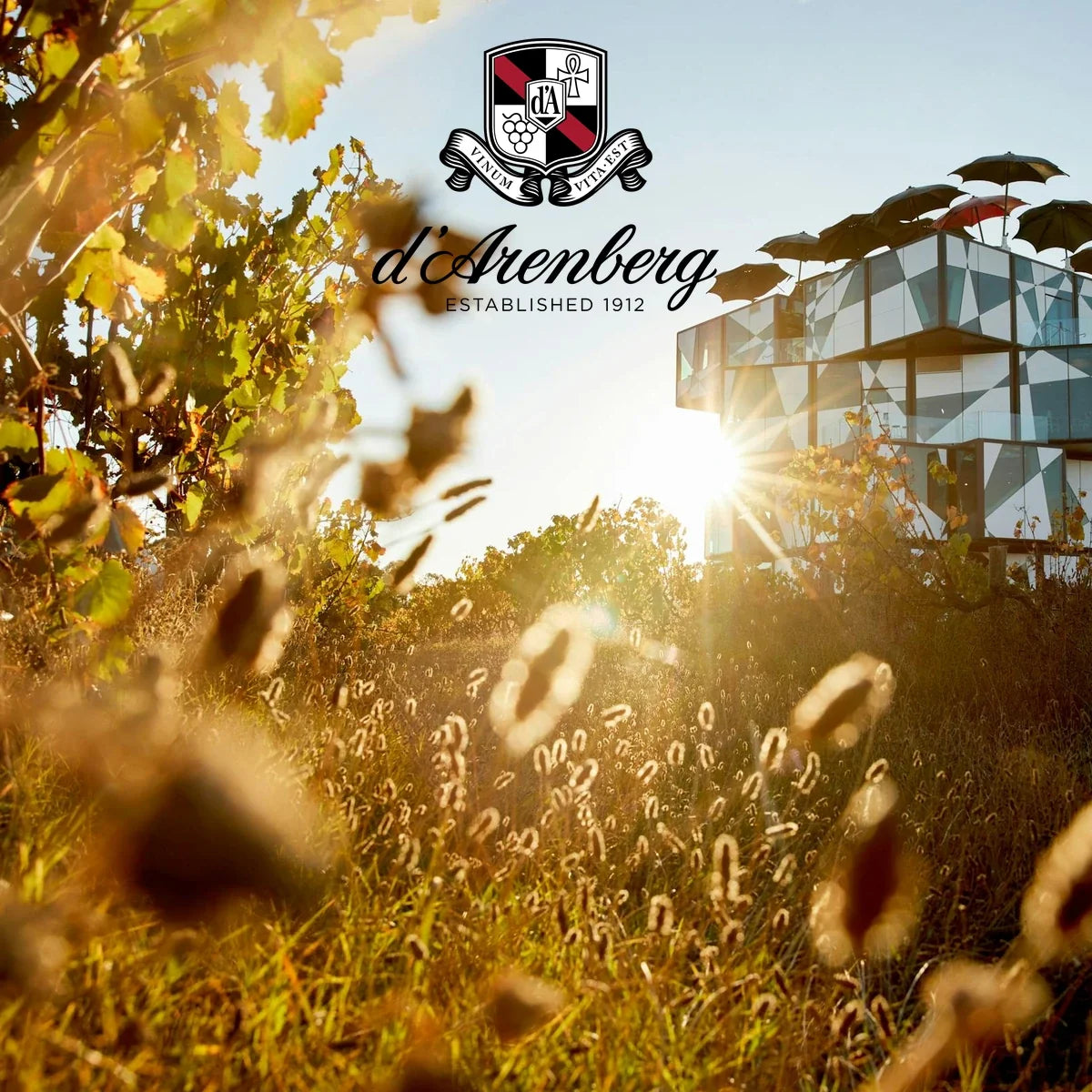 d’Arenberg – The Cube tussen de wijngaarden met origineel wijnhuislogo