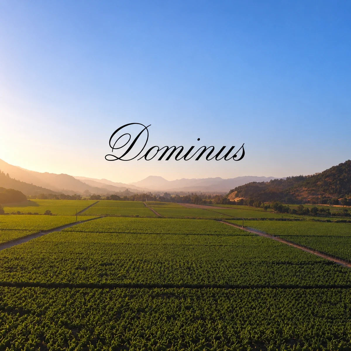 Dominus Estate wijnhuis en logo