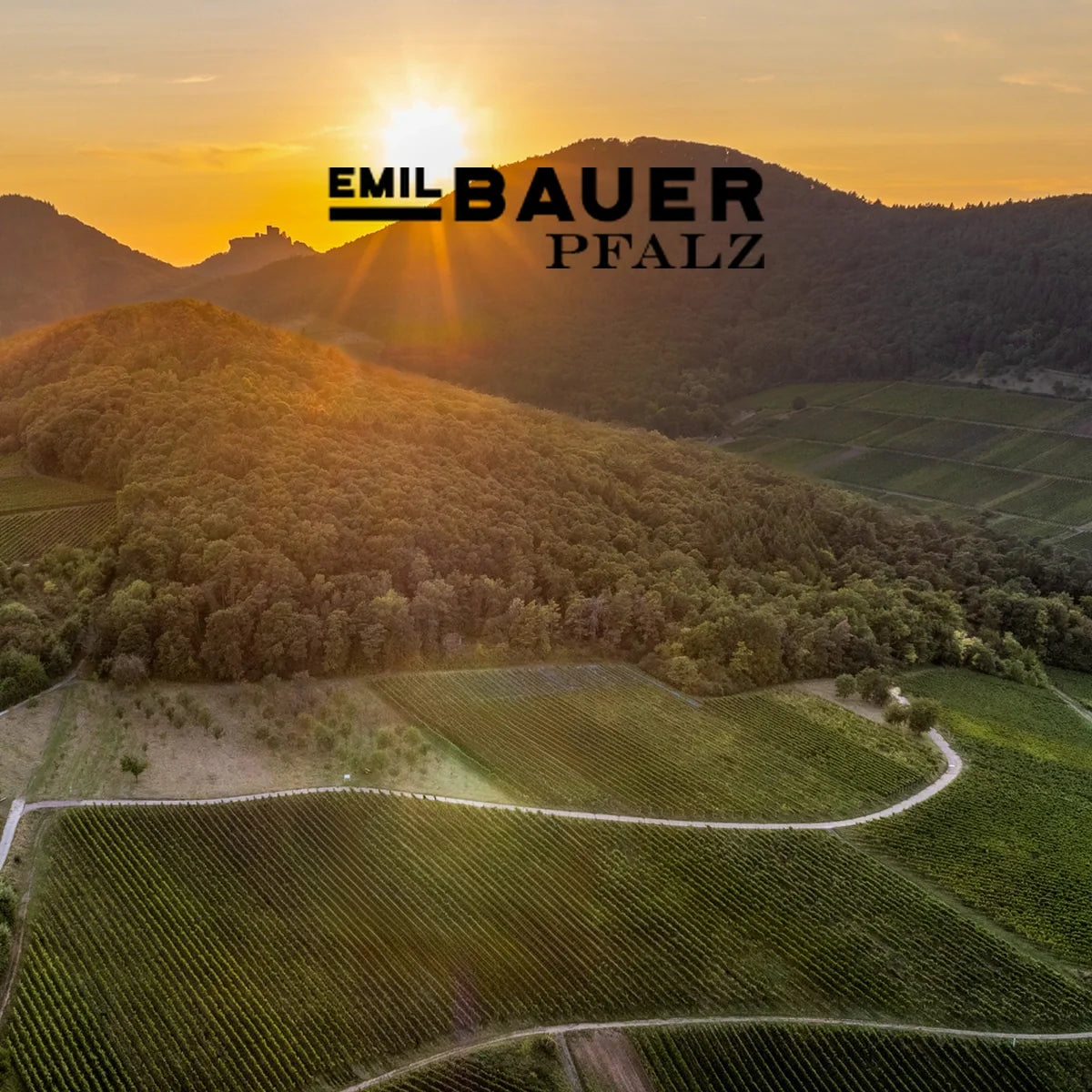 Emil Bauer met officieel logo