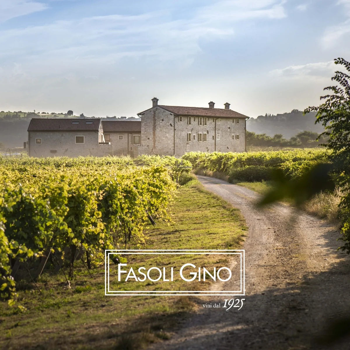 Fasoli Gino | Perfecte Wijn