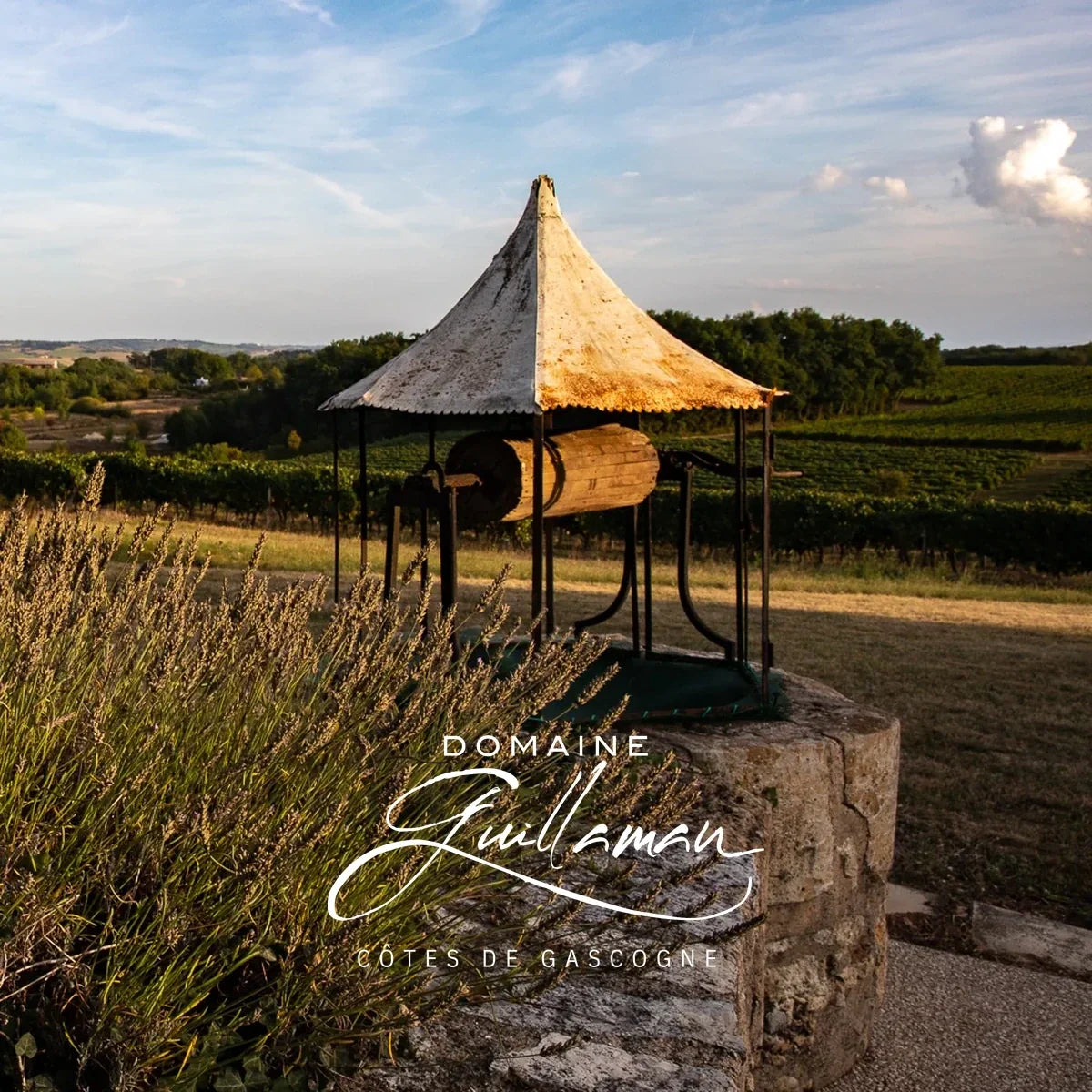 Domaine de Guillaman — sfeerfoto met origineel logo