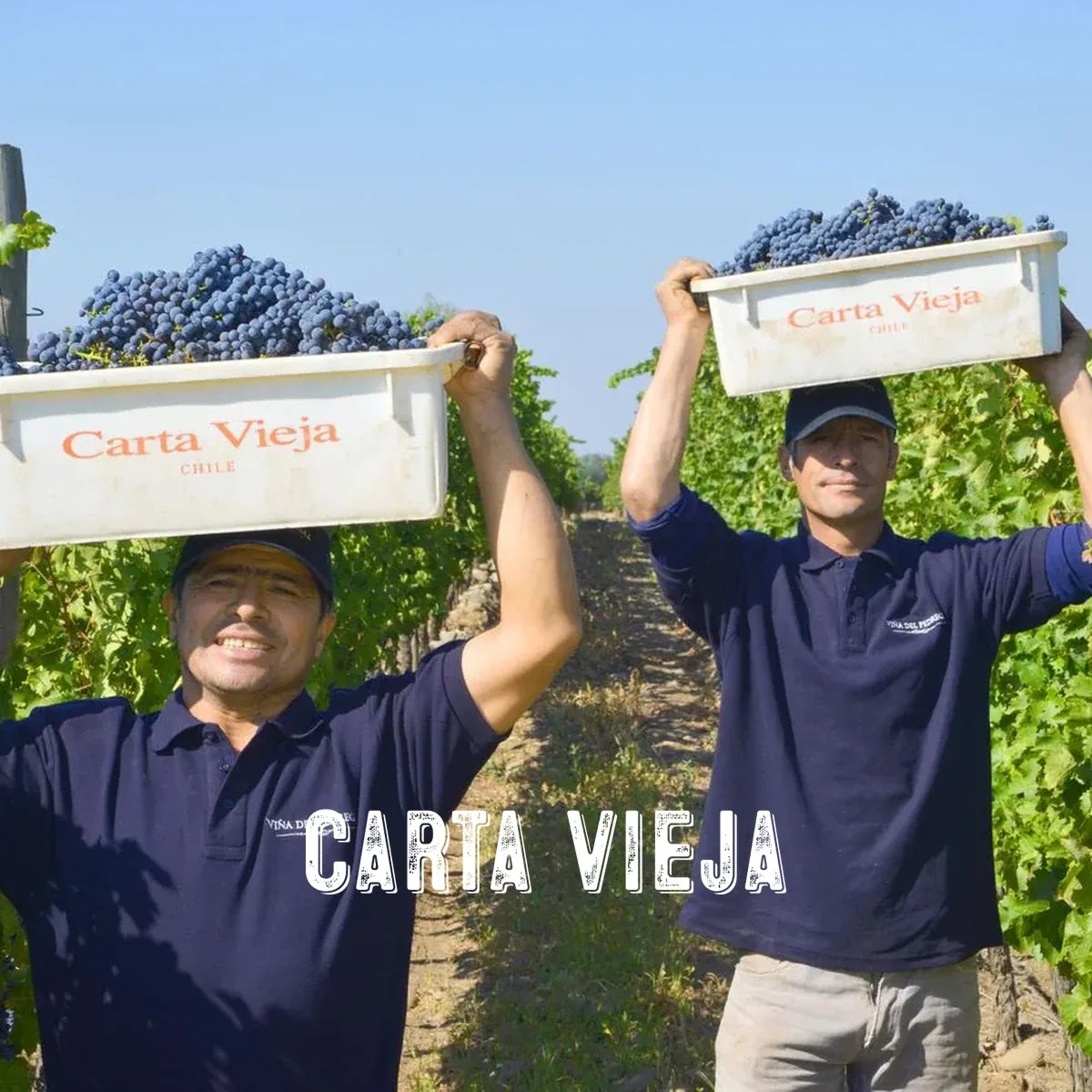Carta Vieja wijnhuis met logo