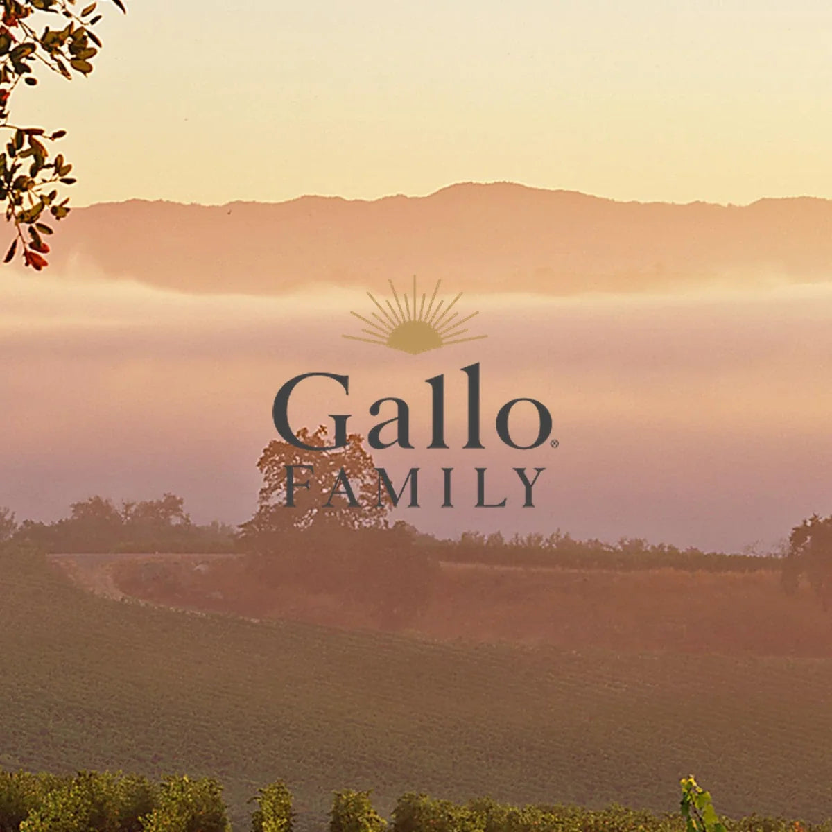 Gallo Family Wines wijnhuis met logo
