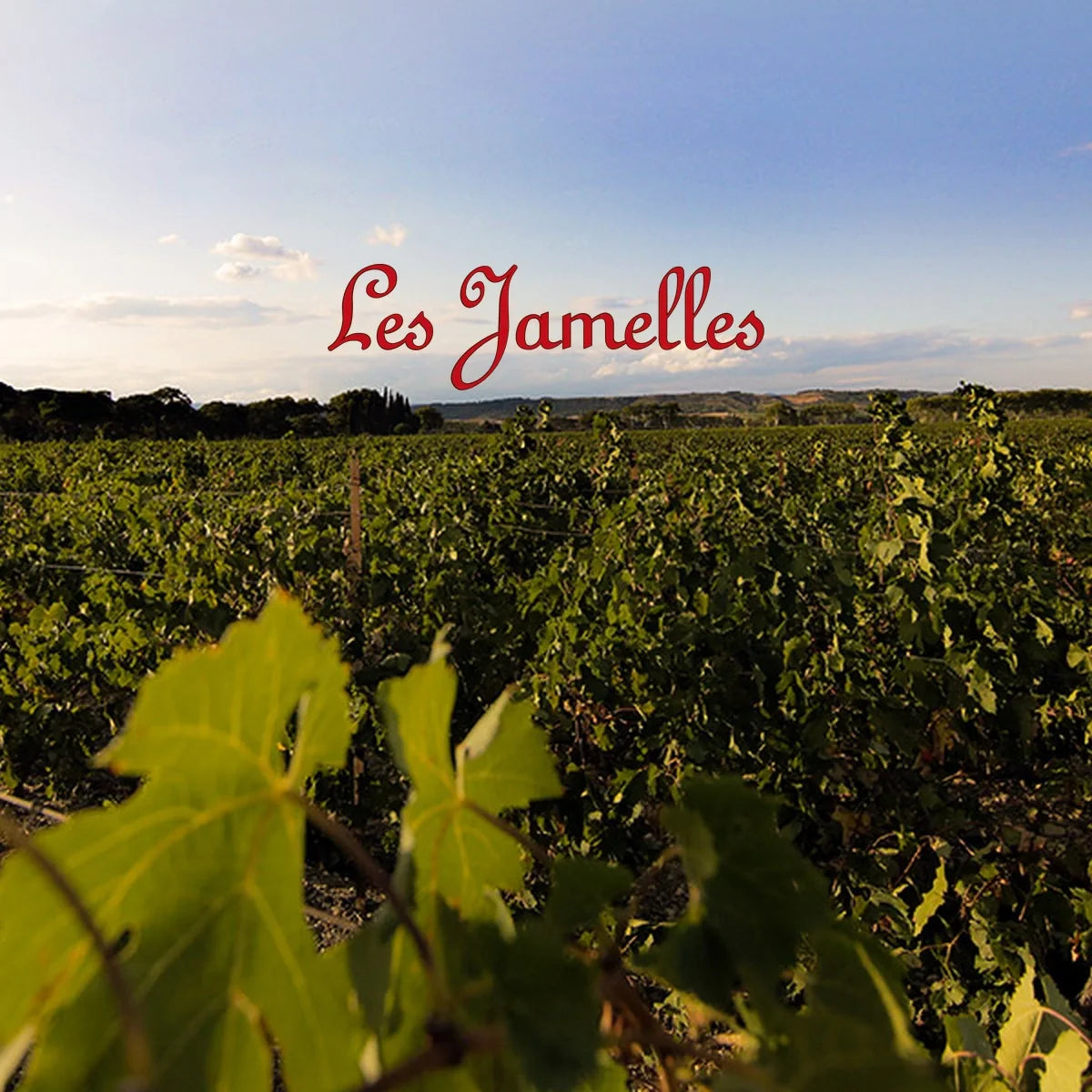 Les Jamelles met officieel logo