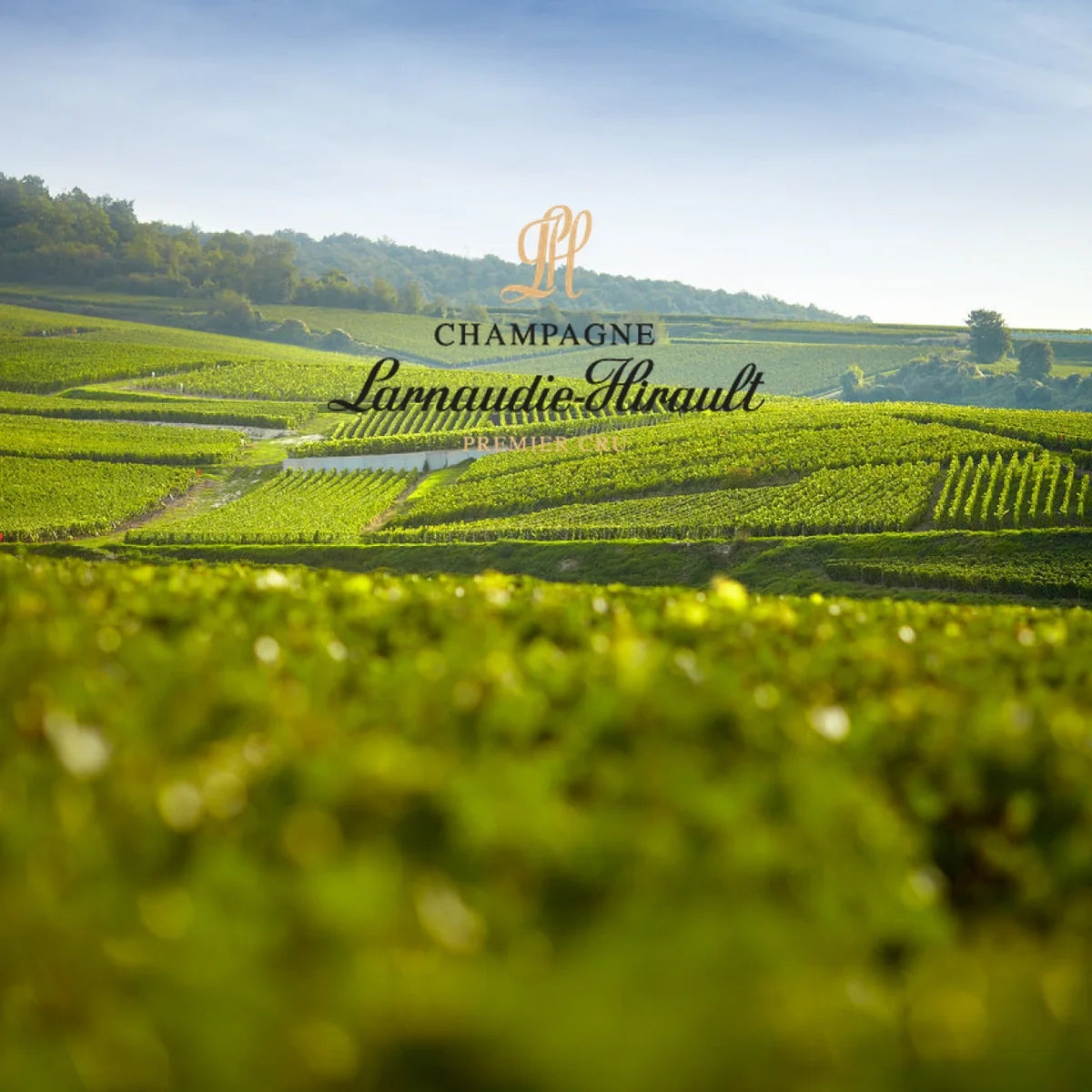 Champagne Larnaudie Hirault met officieel logo
