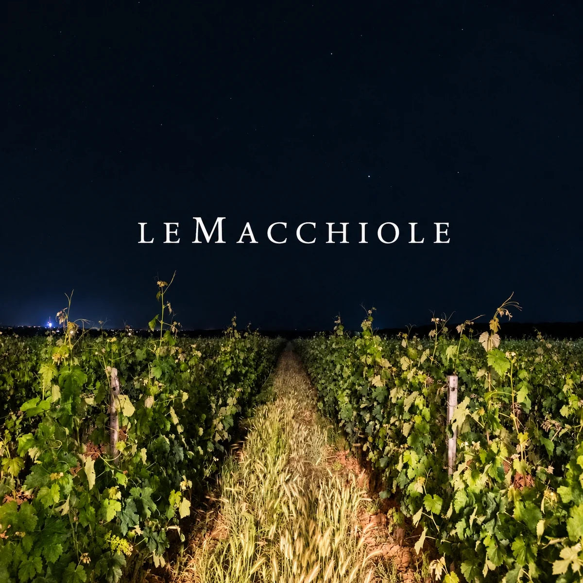 Le Macchiole wijnhuis en logo