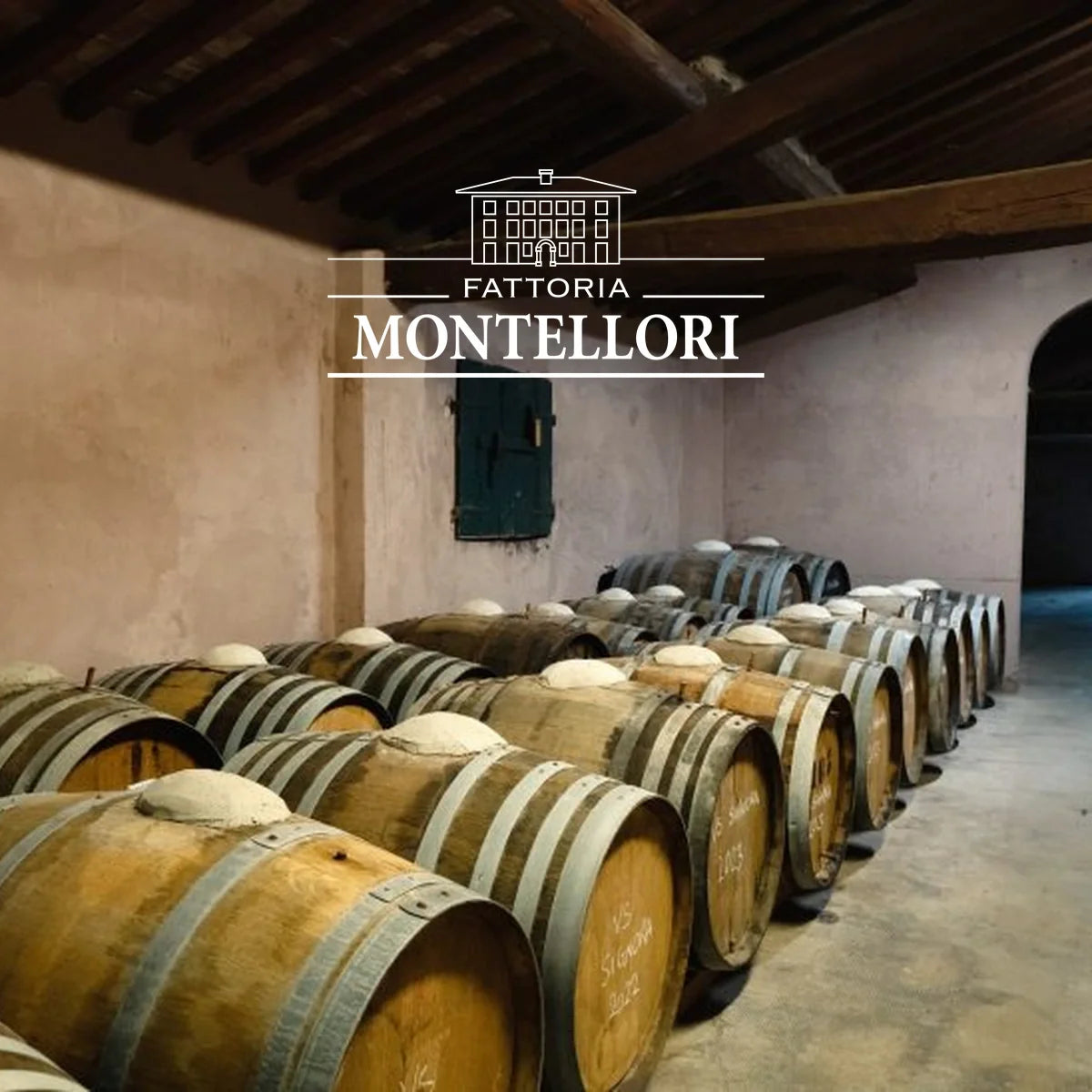 Fattoria Montellori | Perfecte Wijn