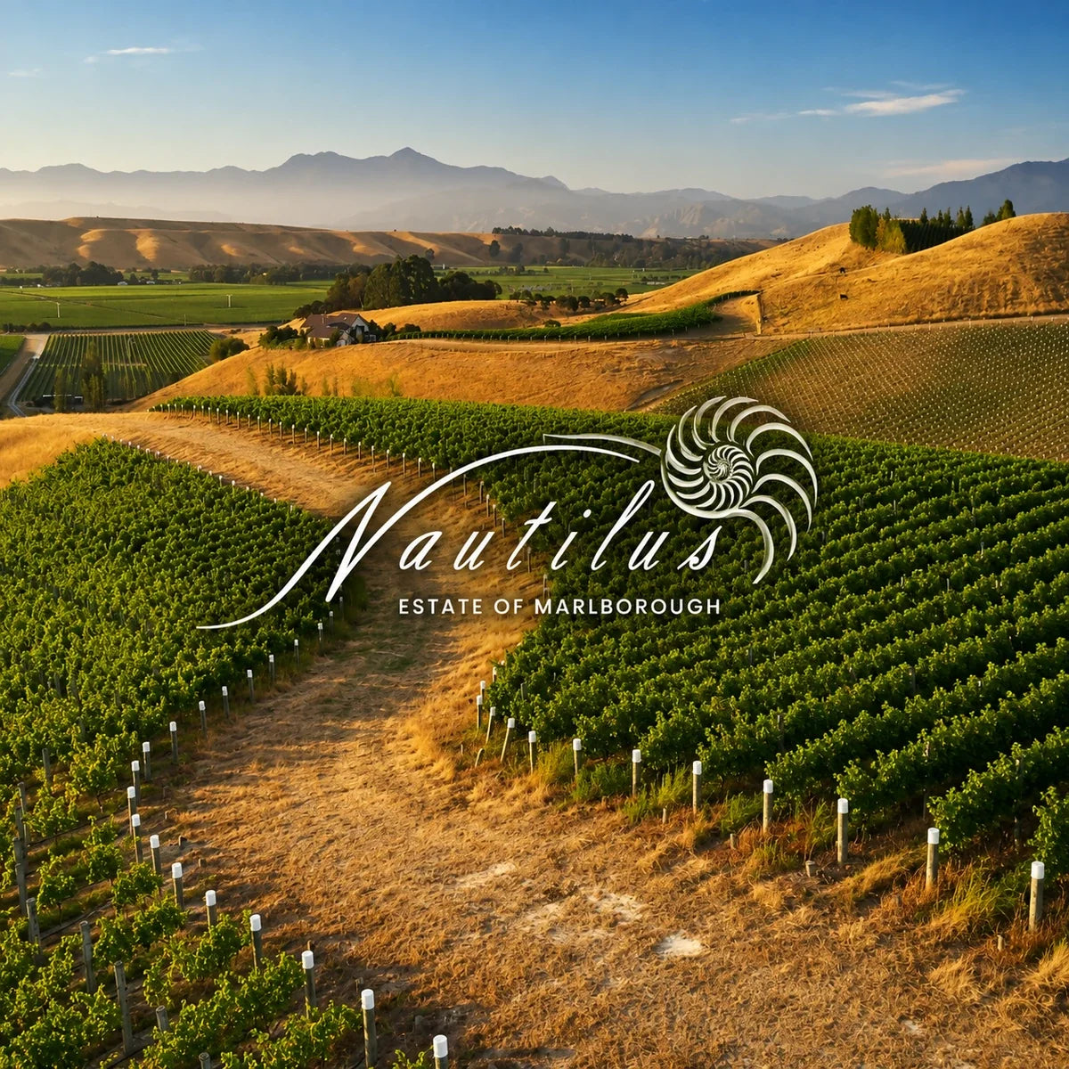 Nautilus Estate wijnhuis en logo