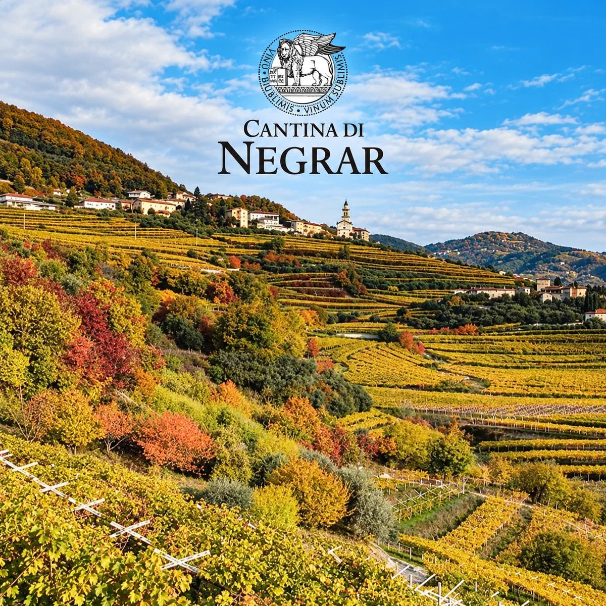 Cantina di Negrar wijnhuis en logo