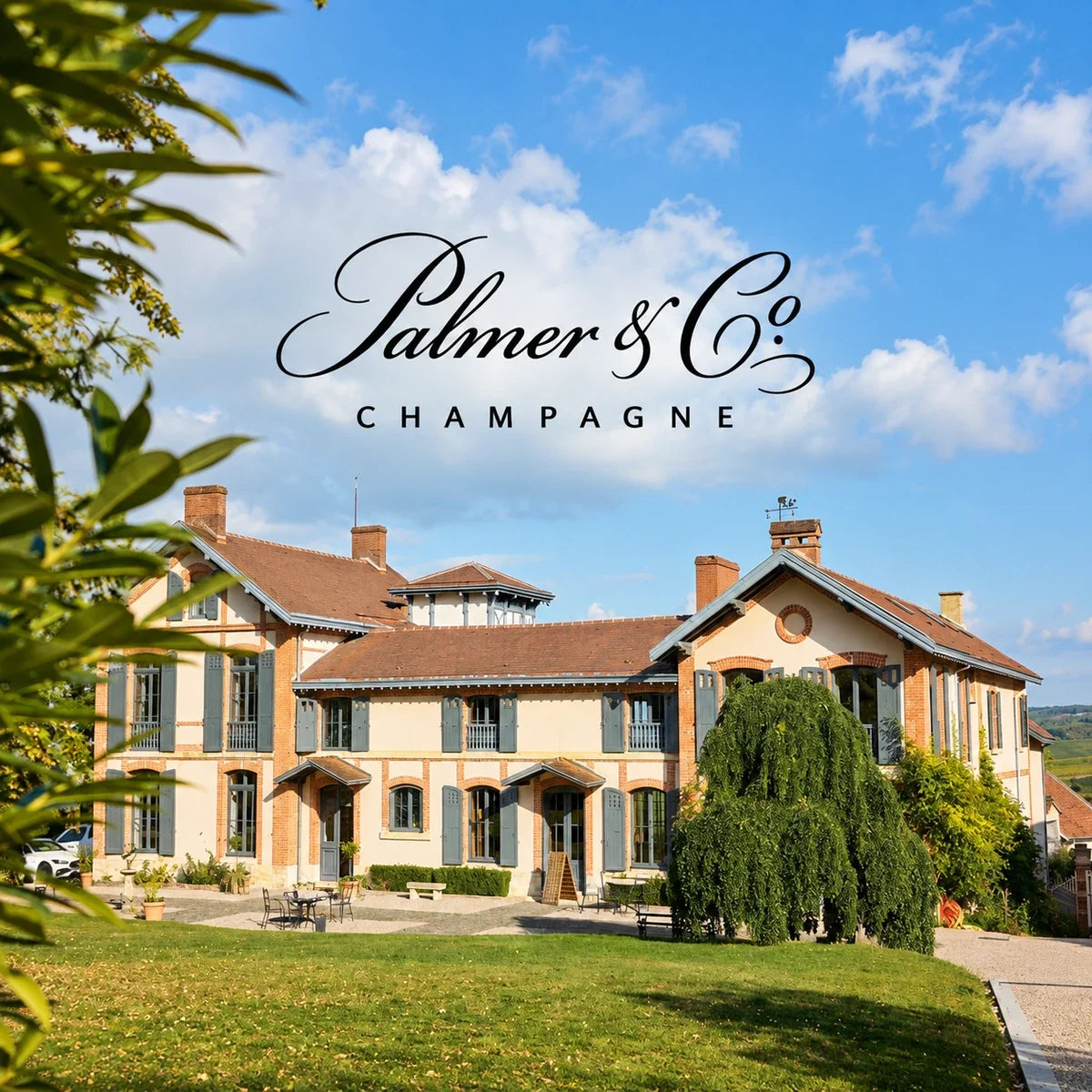 Palmer Co wijnhuis en logo