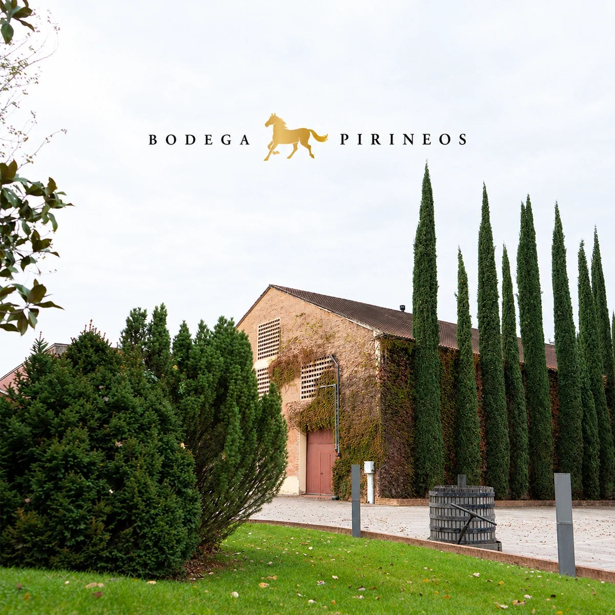 Bodega Pirineos wijnhuis en logo