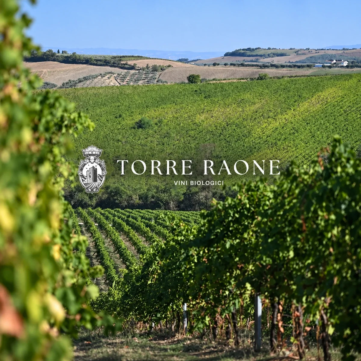 Torre Raone wijnhuis en logo