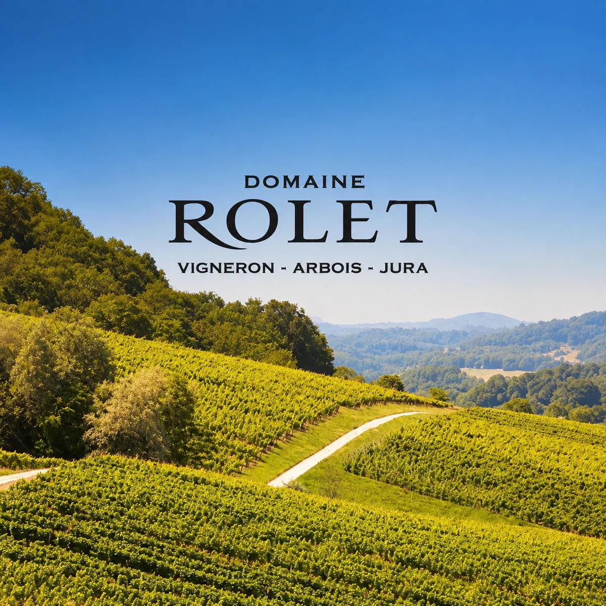 Domaine Rolet wijnhuis en logo