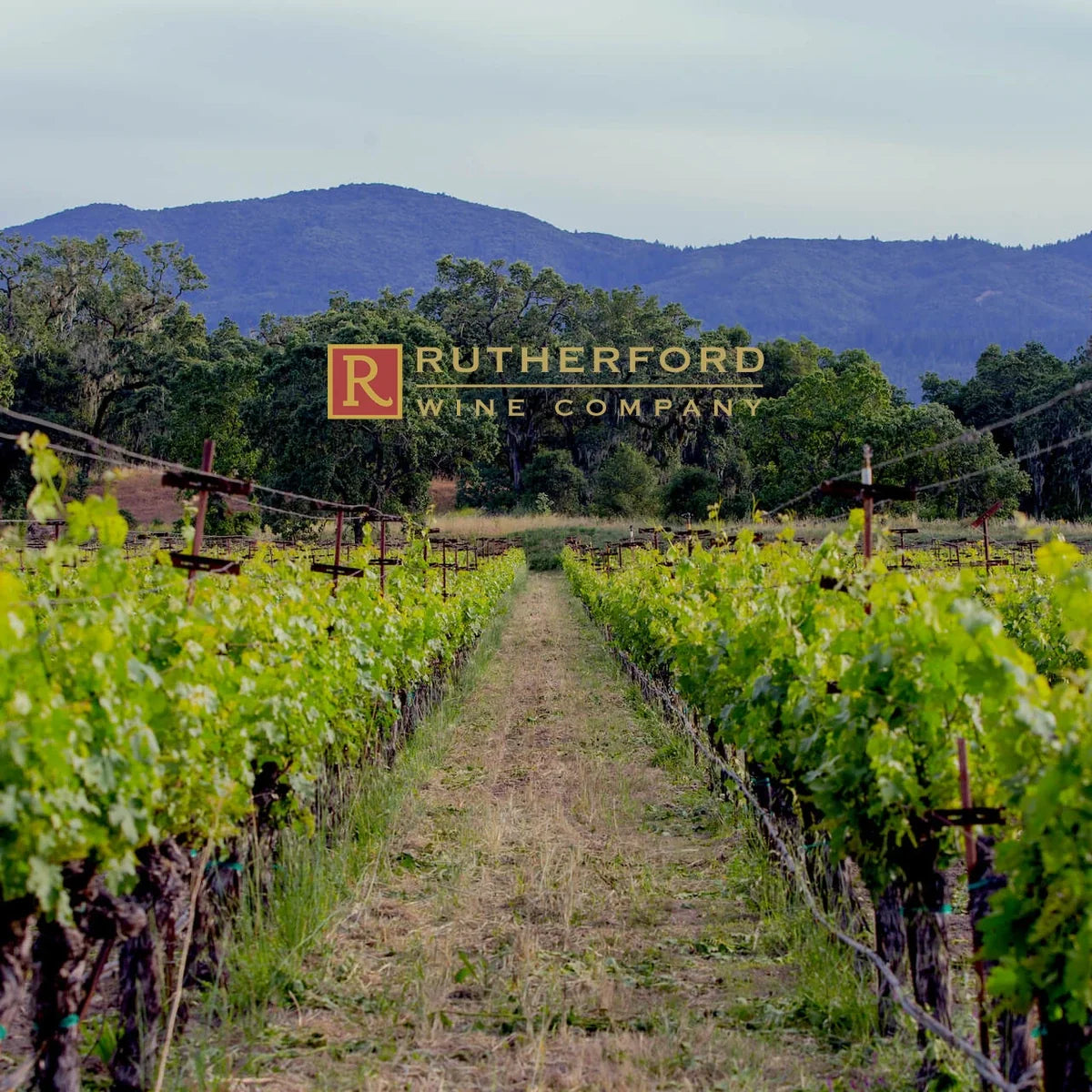 Rutherford Wine Company: wijngaard met officieel logo