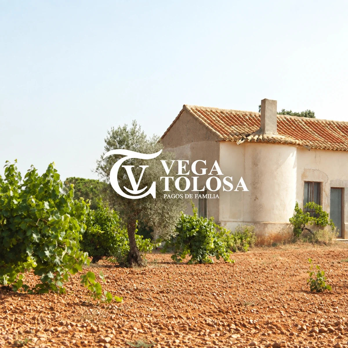 Vega Tolosa wijnhuis en logo