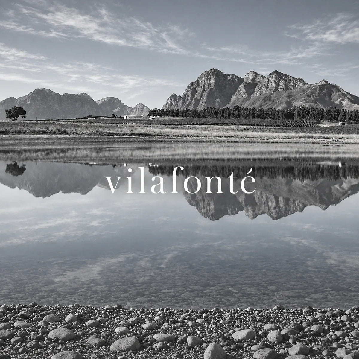 Vilafonte wijnhuis en logo