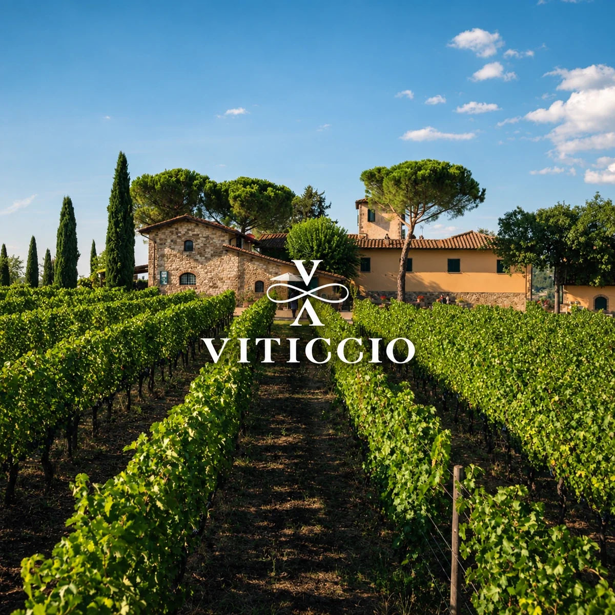 Viticcio wijnhuis en logo