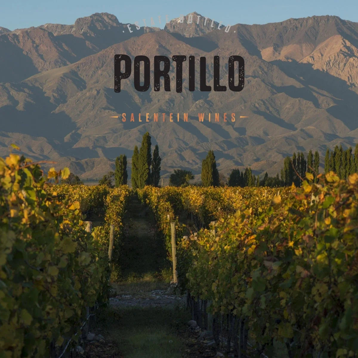 Portillo by Salentein – officiële sfeerfoto met origineel wijnhuislogo
