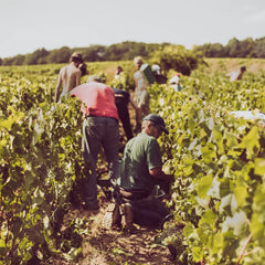 Champagne De Reyve