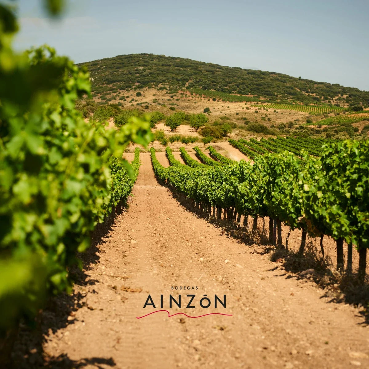 Bodegas Santo Cristo sfeerfoto met logo