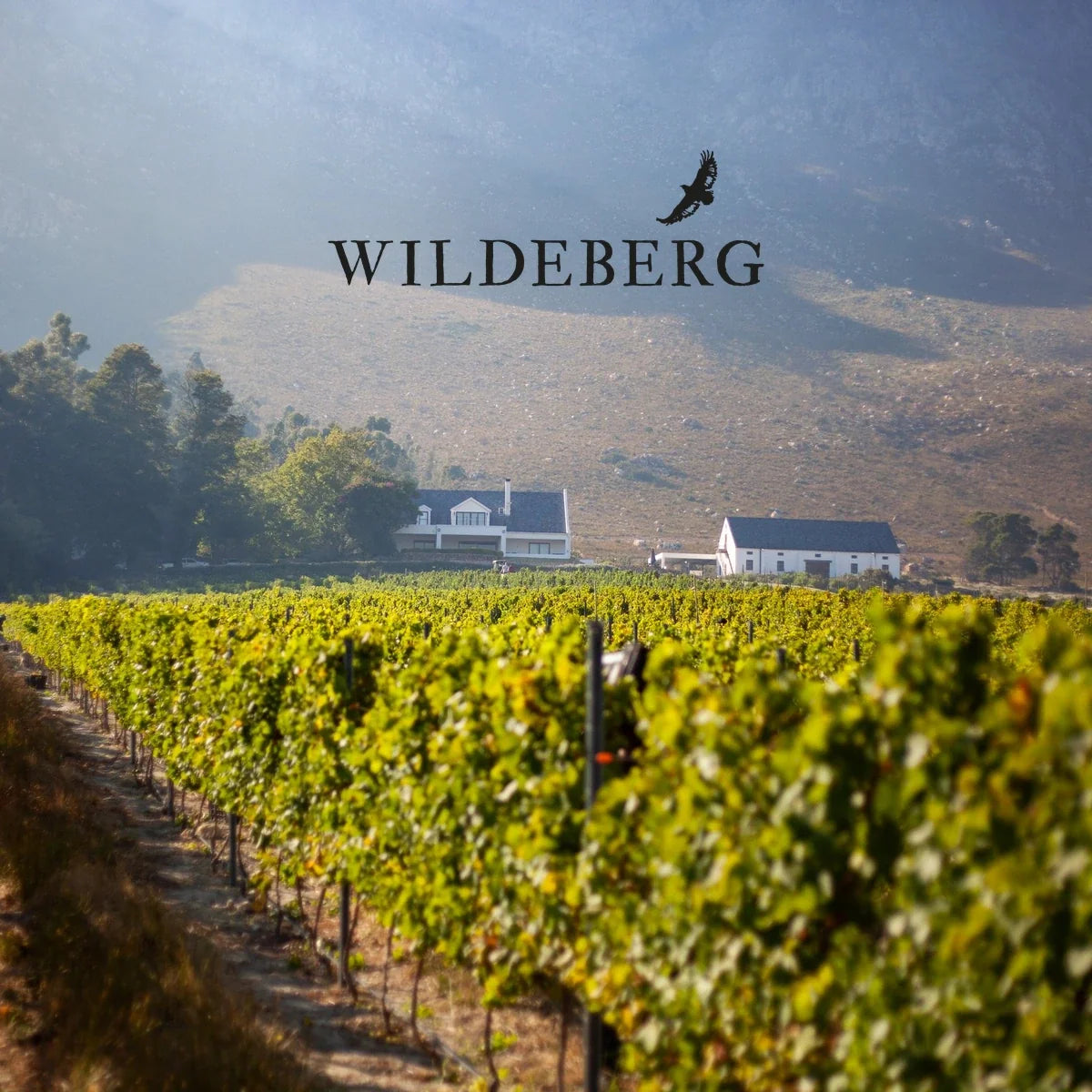 Wildeberg – sfeerfoto met origineel logo