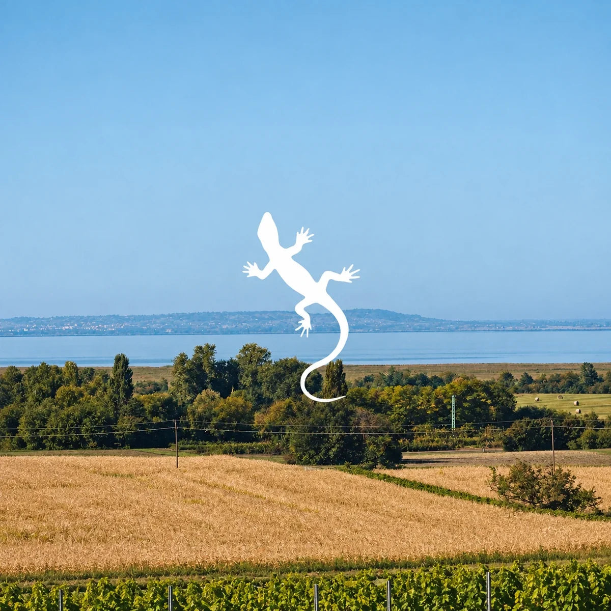 Zantho wijnhuis en logo