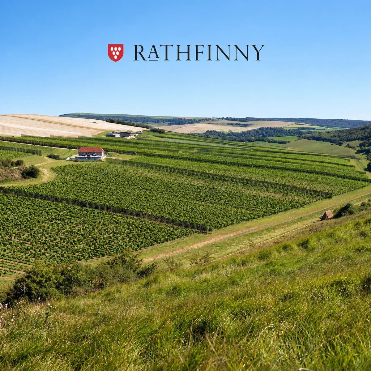 Rathfinny, sfeerfoto met logo