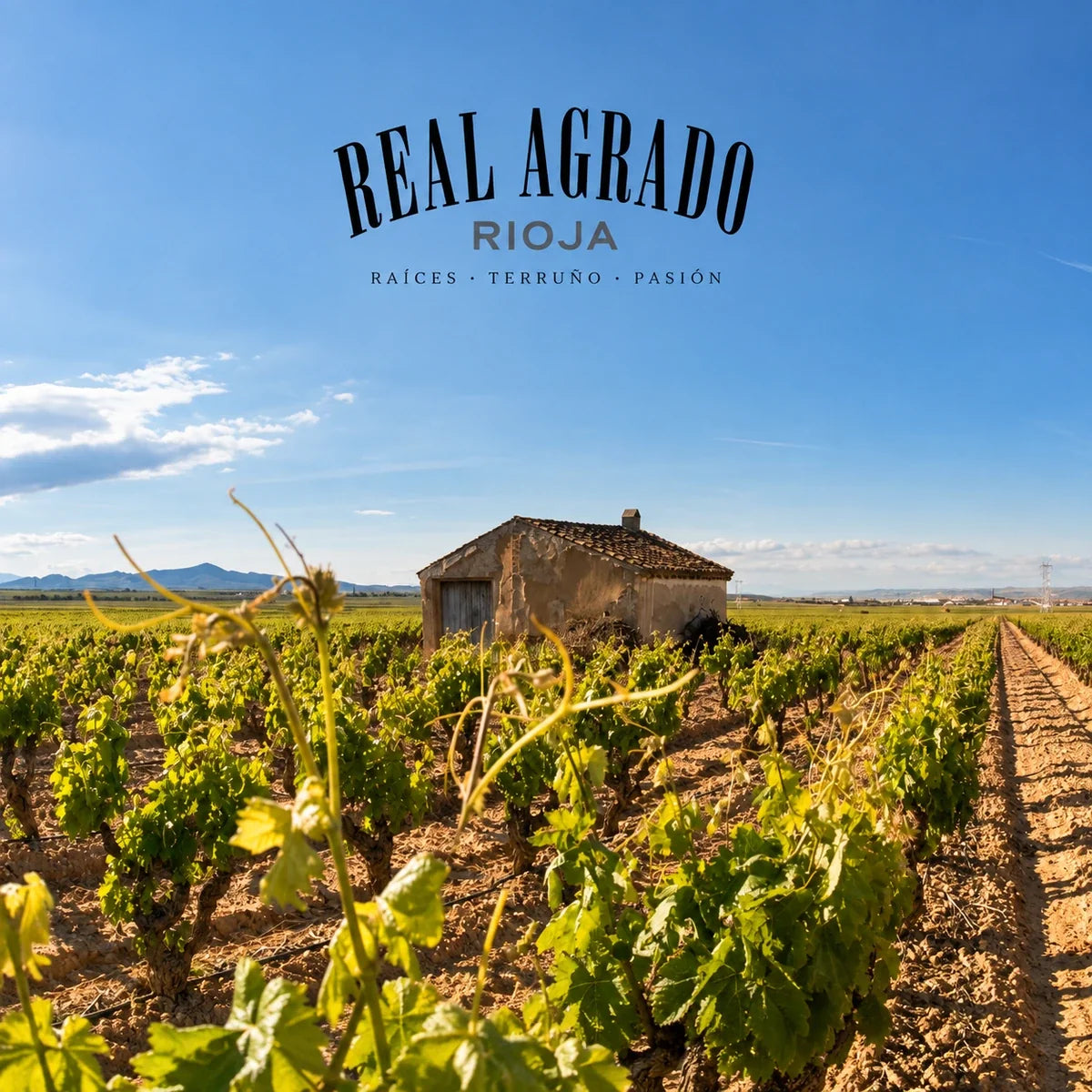 Real Agrado, sfeerfoto met logo